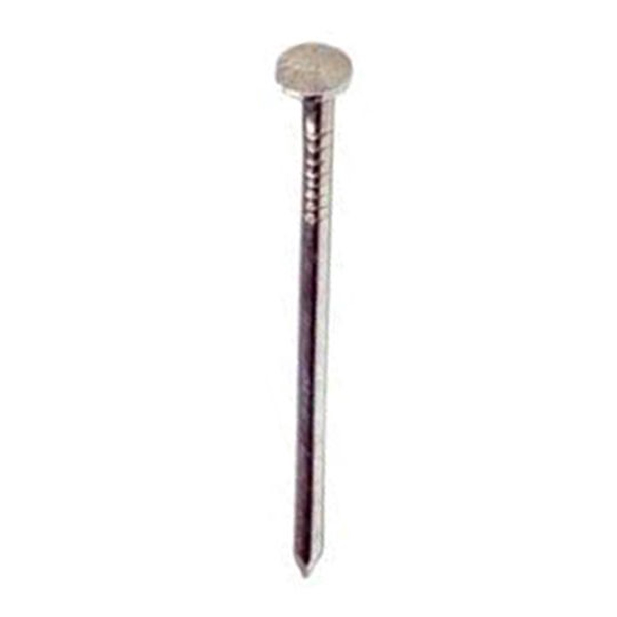 PrimeSource 2 in. (6d) Electro-Galvanized Box Nails - 50 lb. Box