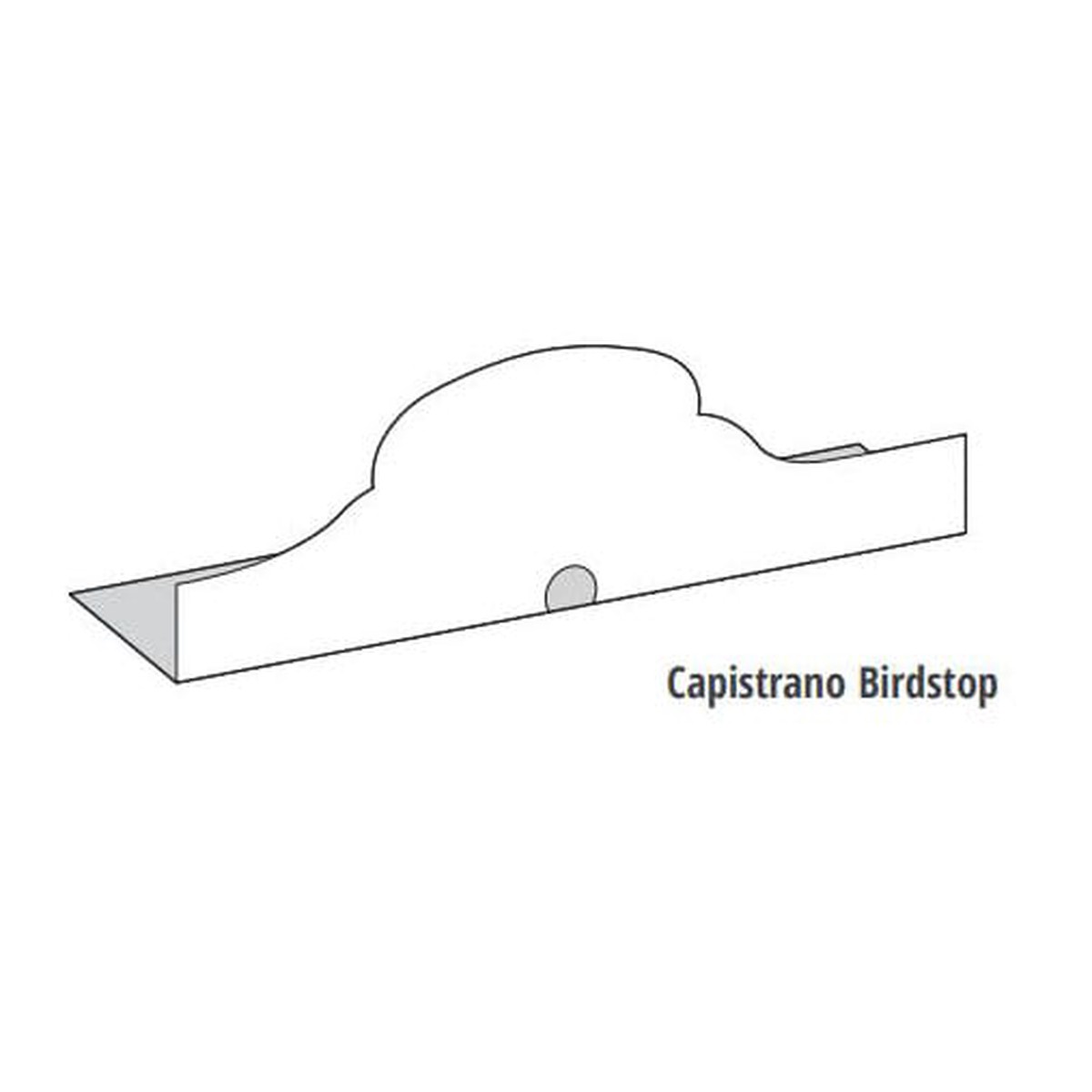 Eagle Capistrano Aluminum Bird Stop Black 10'